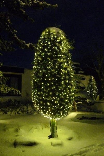 Hysterisch Romanschrijver Bestaan Kegelvormig snoeren (10 stuks van 30 cm) voor over de boom en t.b.v LED  Kerstverlichting - Ledverlichting van LEDindeduisternis | Led lampen, led  strips