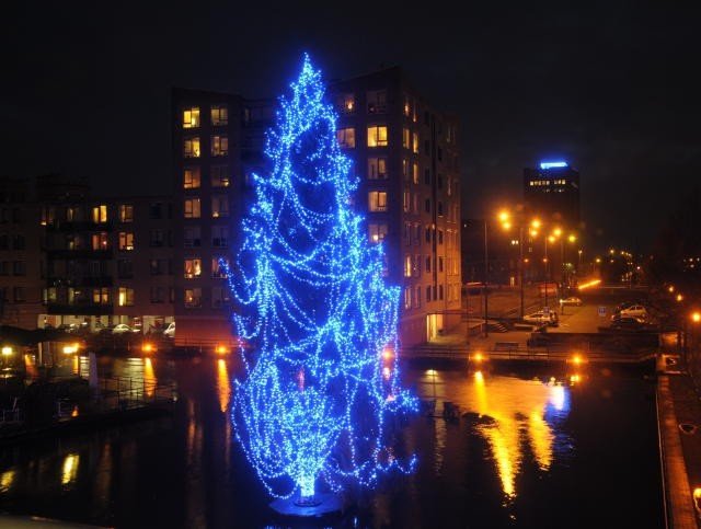 sociaal wapen mooi LED Kerstboomverlichting 600 led's professioneel Blauw 30 Meter voor binnen  gebruik - Ledverlichting van LEDindeduisternis | Led lampen, led strips