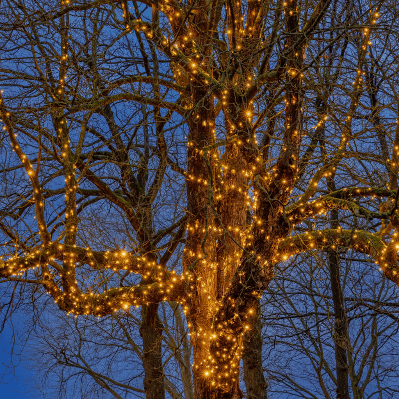 hoeveelheid verkoop Norm bewondering LED Kerstboomverlichting 420 led's professioneel Warm Wit 63 Meter voor  binnen en Buiten gebruik - Ledverlichting van LEDindeduisternis | Led  lampen, led strips