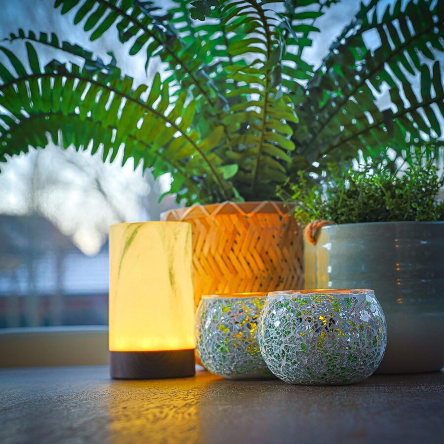 Een gloeiende gele lamp, een Theelichthouder DORSETTO 9 cm donker groen kandelaar en twee groene planten in pot staan samen op een vensterbank met zacht binnenvallend daglicht.